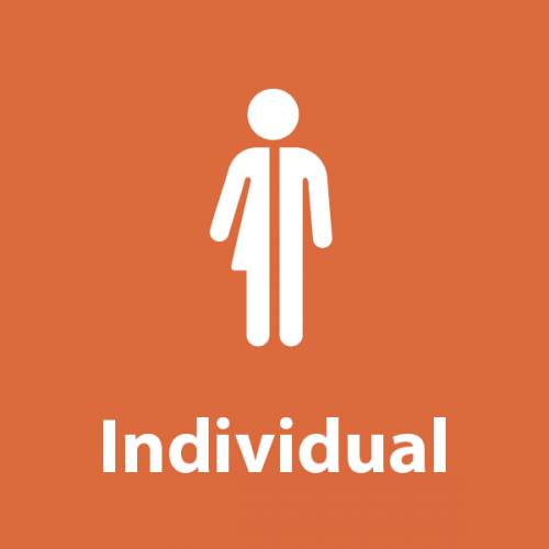 individual subscription