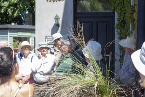 Kells_BayGardens_240618_8808_web